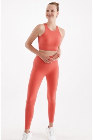 Seamless Sport Tights Coral