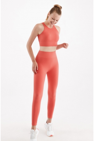 Seamless Sport Tights Coral