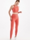 Seamless Sport Tights Coral